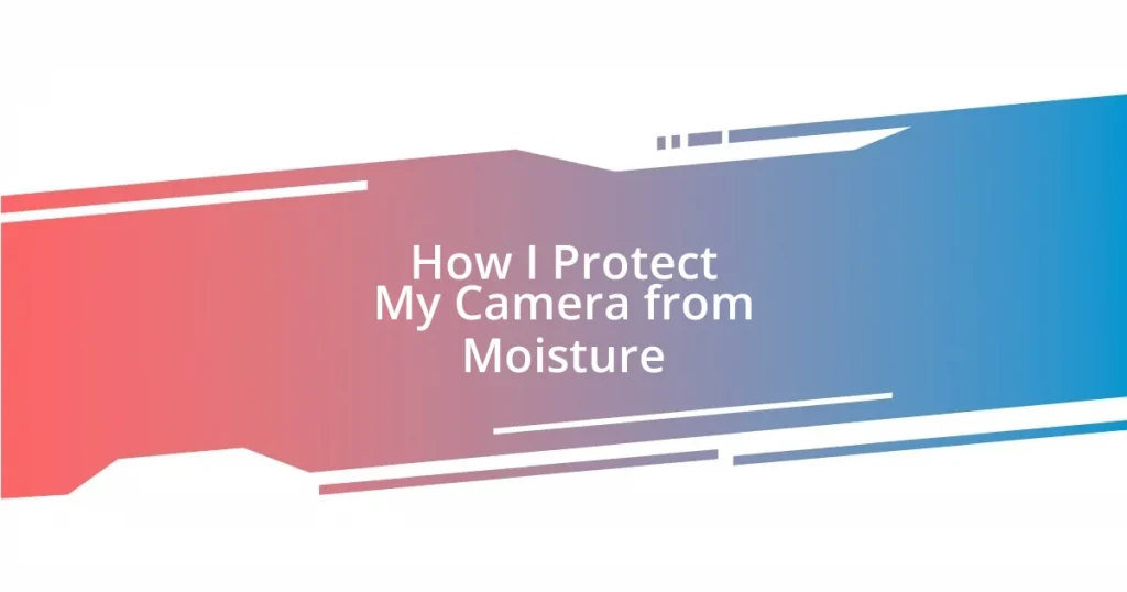 How I Protect My Camera from Moisture